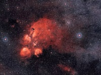 猫の肉球みたいな「猫の手星雲」で太陽系外では珍しい過去最大級に大きな分子を発見