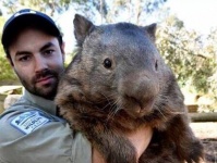 だってオーストラリアだから。オーストラリアの巨大な7つの生物たち（※クモ・ワニ出演中）