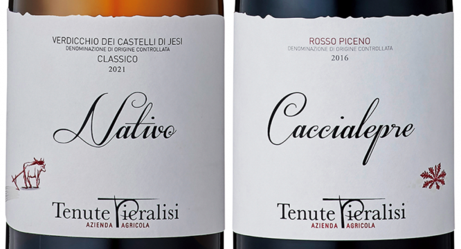 株式会社モトックスのプレスリリース画像