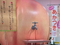 福島の〝桃ジュースが出てくる蛇口〟に2.7万人垂涎　「夢のよう」「なんて魅力的」