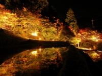 島根がアツい！迫力の「火を吹く大蛇」にW金賞ワイン、美肌温泉まで網羅した秋冬旅