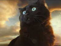 猫大活躍。『ゴジラvsコング』のパロティー版『ゴジラvsオウルキティ』