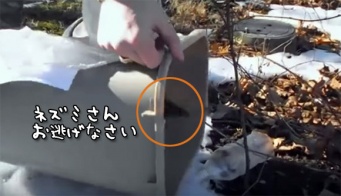 ああ無常・・・兵士が逃がしたネズミに訪れる運命はこの後すぐ！！