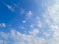 お天気キャスター森田芳光　最高に稼いだのは9,000万円