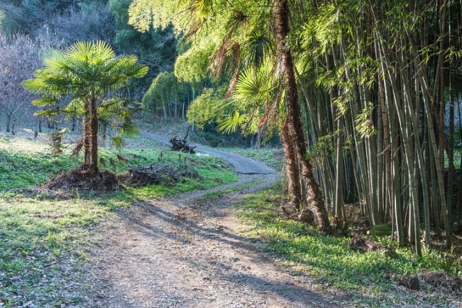 uchida / PIXTA(ピクスタ)