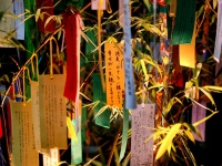 画像はイメージです（Yuki Yaginumaさん撮影、Flickrより）