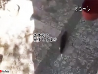 おじいさんの愛情が原動力です。アパートに住む猫が家に戻る時に利用する全手動エレベーター