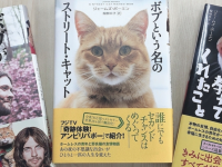 辰巳出版株式会社のプレスリリース画像