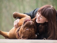 実際のところ犬は人間のことをどう思っているのだろう？脳スキャンで明らかになった犬の本音は、「それでも人間を愛してる」。（各国研究）