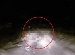 ロシアでイエティが撮影された！？　ドライブレコーダーに映った姿とは？