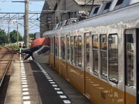 仏生山駅にお目見えしたスズメ・バルーン（以下、高松琴平電気鉄道提供）