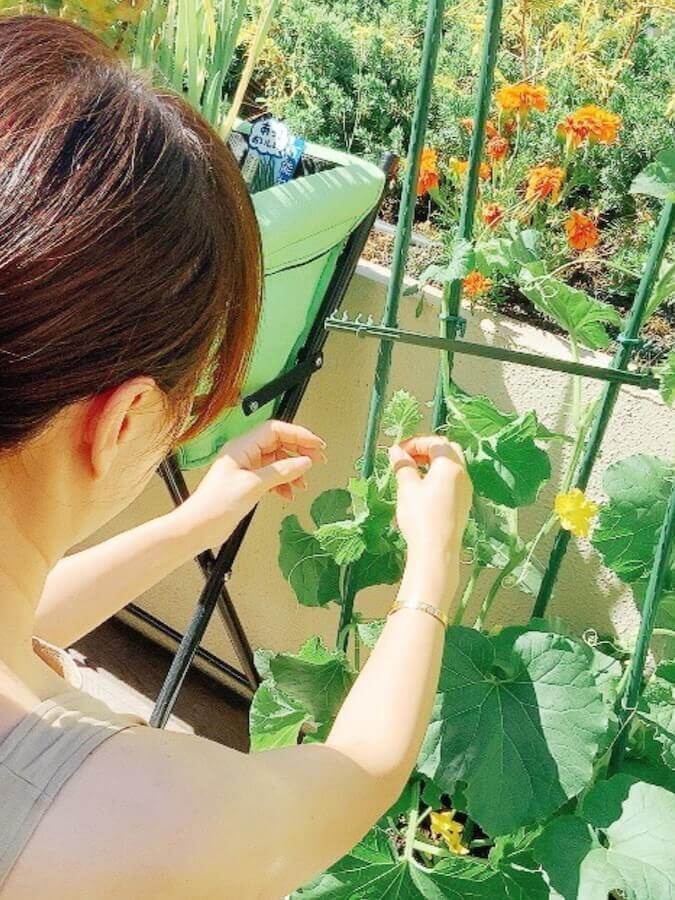 渡辺美奈代オフィシャルブログ「Minayo Land」より