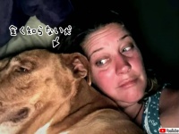 目覚めたら見知らぬ犬がベッドで自分の横に眠っていた件。しかも我が家感覚で