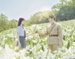 映画『あの花が咲く丘で、君とまた出会えたら。』リバイバル上映決定！　『あの星』本編冒頭８分の特別上映も！！