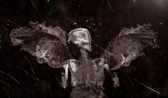 「人間は2050年までに死を超越する」と主張するイギリスの未来学者