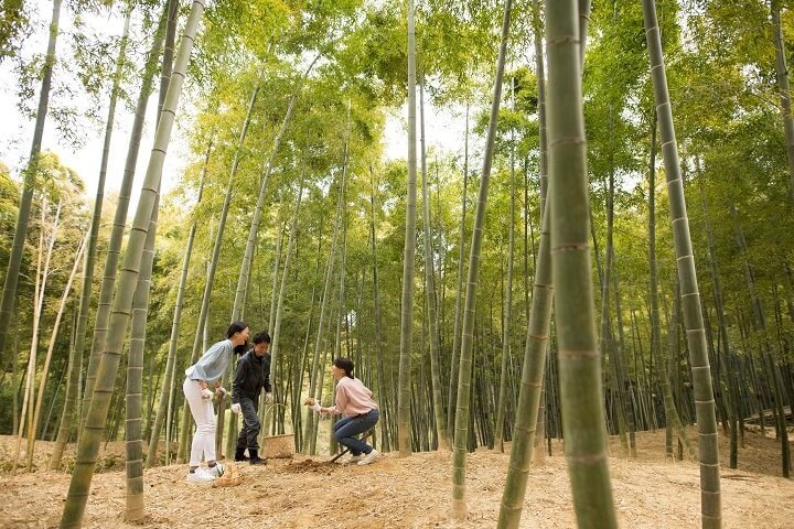 星野リゾートのプレスリリース画像