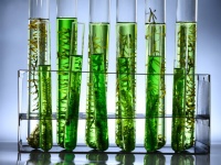 藻を使ってビール醸造。排出される二酸化炭素を削減する取り組み