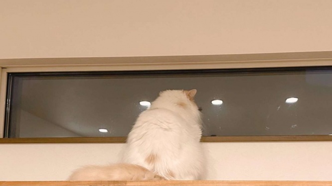 家の中から見ると...