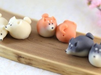 どこから食べたらいいんです...？　和菓子で出来た柴犬が可愛すぎて、ずっと飾っておきたいレベル