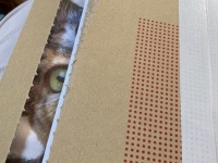 見てる...（写真はけもさんのツイートより、編集部でサイズ調整）