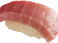 「本鮪中とろ」