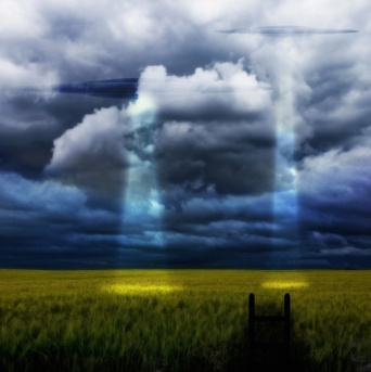 画像はイメージです