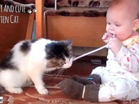 小さなニンゲンには優しくしといてやるかニャ！猫と赤ちゃんのふわふわ仲良しシーン詰め合わせ