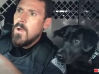 オンとオフの切り替えもバッチリ！リア充なリア獣の警察犬、飼い主さんやBFと仕事もプライベートも満喫する