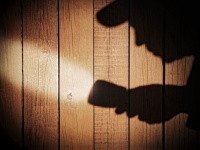 鬼の平蔵は「FX」で捜査費用をまかなったって本当？