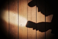 鬼の平蔵は「FX」で捜査費用をまかなったって本当？