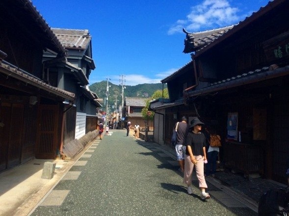 「ポケモン生態調査in美濃市」（画像提供：美濃市観光協会）