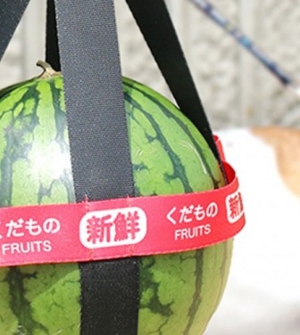 この夏、果物を散歩させる人が爆増の予感！？　謎すぎカプセルトイ爆誕にネット困惑「GOサイン出した上層部が怖い」