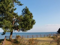 この旅、ハマりそう。お疲れOLが見つけた自分史上最高の“リフレッシュ法”