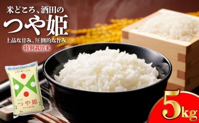 山形県 酒田市「つや姫 計5kg 5kg×1袋」12,000円(ふるさとチョイスより)