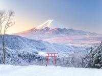 1月19日午前7時ごろ、山梨県某所で撮影（510さんのツイートより）