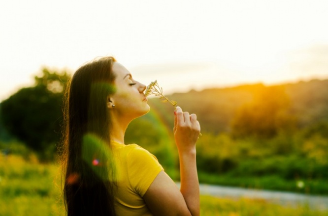 iStock_000044528472_Small