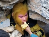 猿の着ぐるみを着てバナナを食べる簡単なお仕事です。中国で「孫悟空」のアルバイトを募集中