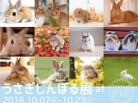 うさぎしんぼる展