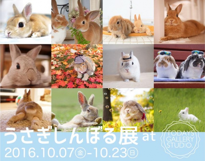 うさぎしんぼる展