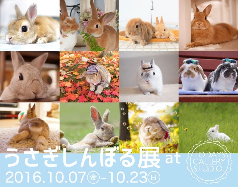 うさぎしんぼる展