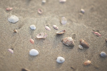 画像はイメージです（けんたま/KENTAMAさん撮影、Flickrより）