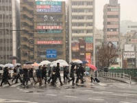 雪が降る中、傘を差し交差点を歩く通勤客ら（2日9時半頃、JR市ヶ谷駅前交差点。Jタウンネット編集部員撮影）