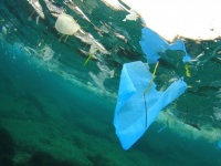 お湯で分解できる生分解性プラスチックが開発される