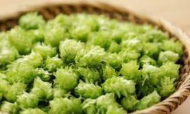 1.5 倍の麦芽