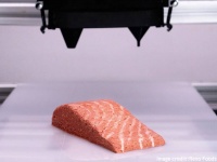 世界初、3Dプリンターで作られた菌類が主成分の代替サーモンが市場で販売