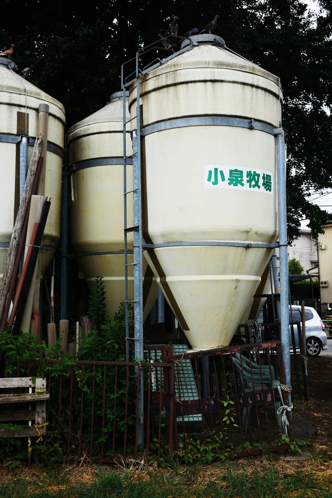 tokyo-koizumibokujyo6