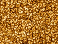 細胞みたい！ 史上最高の解像度でとらえた「太陽の表面」映像が公開される