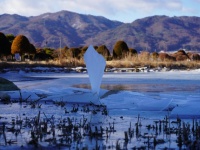 「すごい神々しい」「てことは、この先に...」　長野・諏訪湖の上に現れた〝謎の板〟に1.8万人瞠目