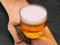 蜂ビールはいかが？微生物学者らが殺人バチの腸内酵母でビールを開発
