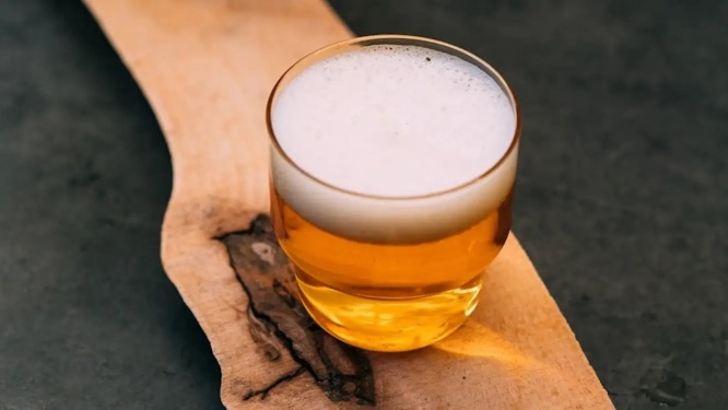 蜂ビールはいかが？微生物学者らが殺人バチの腸内酵母でビールを開発